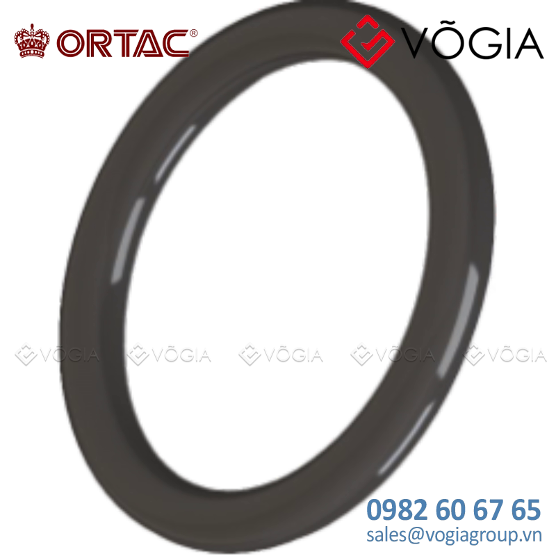 O-Ring