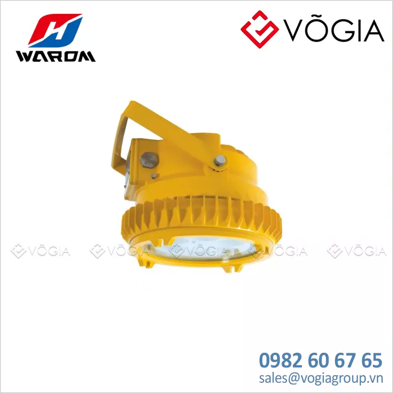 Đèn LED (LED Light Fittings) chống cháy nổ - BDD95