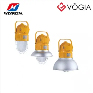 Đèn treo (Pendant Light Fittings) chống cháy nổ - BDD91
