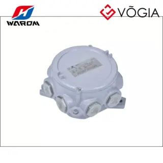 Hộp đấu nối (Junction Boxes) chống cháy nổ - BHD91